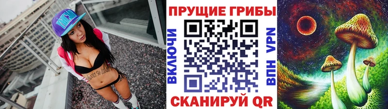 Псилоцибиновые грибы MAGIC MUSHROOMS  где продают наркотики  Алейск 